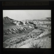 Böhl glass slide 61./1551